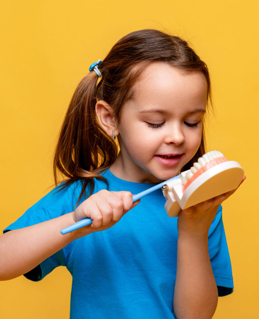 Little girl holding a model of a jaw with teeth and a toothbrush in her hands to demonstrate proper tooth brushing on yellow background. Children's dentistry. Children's teeth care. Copy space