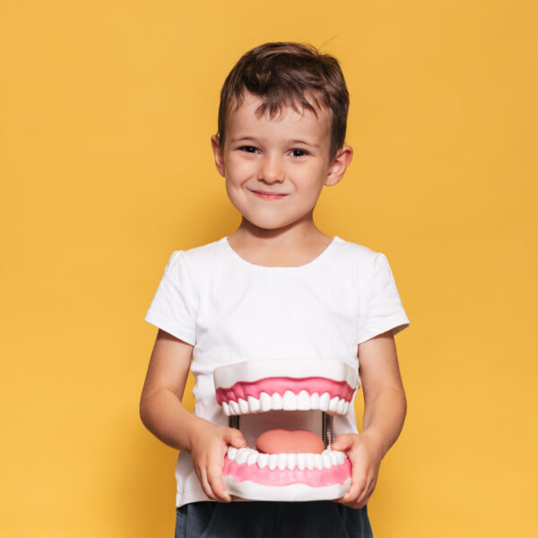 A smiling boy with healthy teeth holds a large jaw and a toothbrush on a yellow background. Oral hygiene. Pediatric dentistry. Rules for brushing teeth