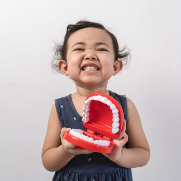Little cute funny asian girl holding tooth jaw.Kid training oral hygiene. Child learning brushing, cleaning teeth. Prevention of caries in children. children dentistry. dental care kids